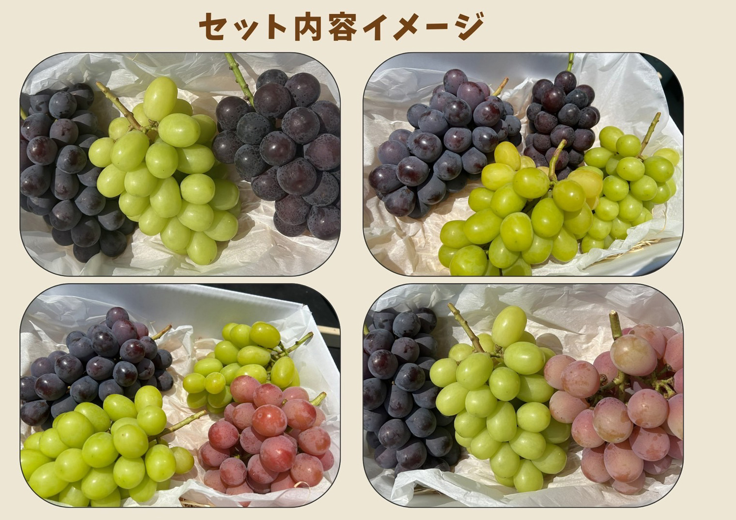 長崎 ぶどう狩り ぶどうの森 (森巨峰園)