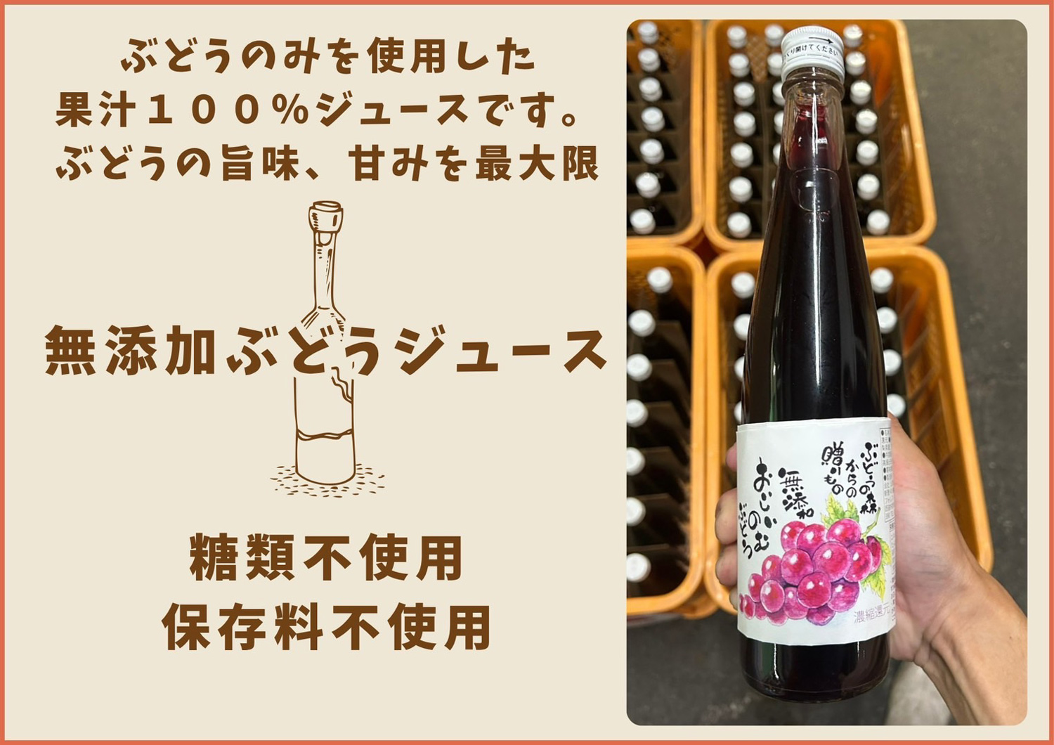 長崎 ぶどう狩り ぶどうの森 (森巨峰園)